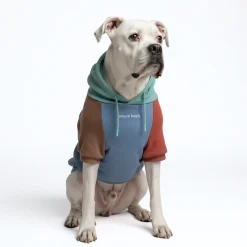 Alpine Dog Hoodie