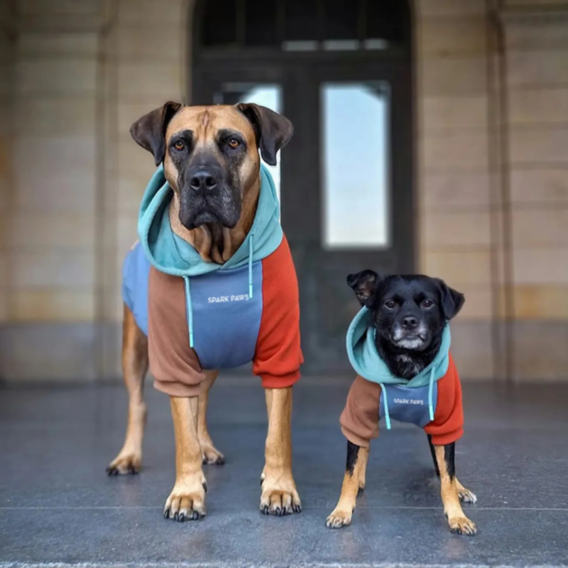Alpine Dog Hoodie