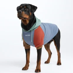 Alpine Dog Hoodie