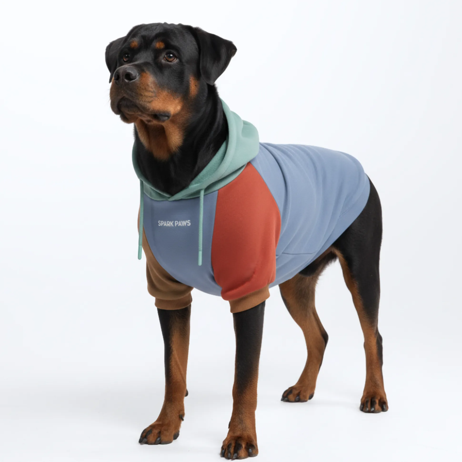 Alpine Dog Hoodie