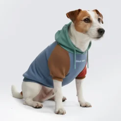 Alpine Dog Hoodie