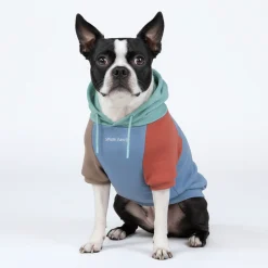 Alpine Dog Hoodie