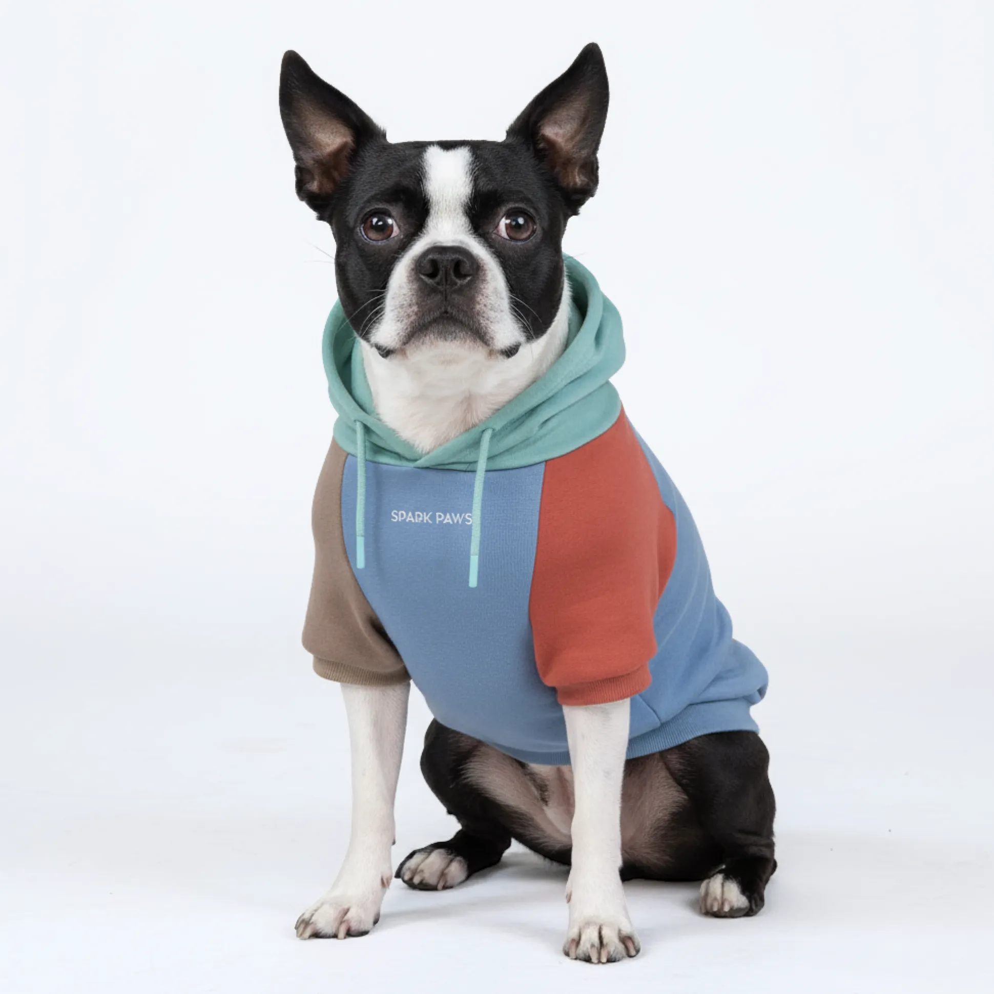 Alpine Dog Hoodie