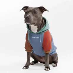 Alpine Dog Hoodie