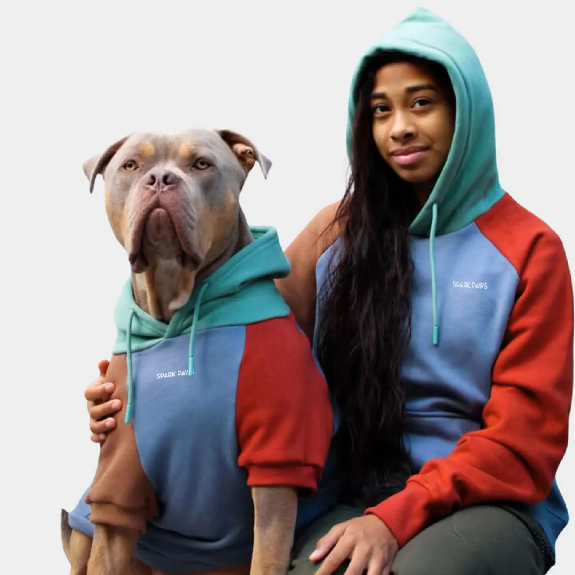 Alpine Human Hoodie