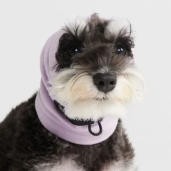 Anxiety Calming Dog Earmuff Protector - Purple
