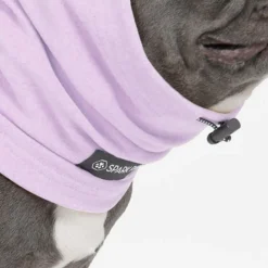 Anxiety Calming Dog Earmuff Protector - Purple