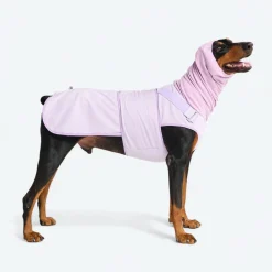 Anxiety Calming Suit - Purple