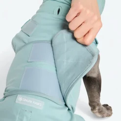 Anxiety Calming Suit - Teal
