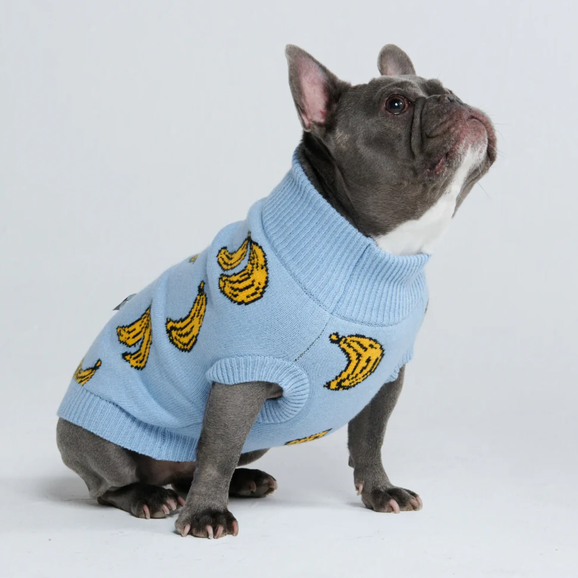 Banana Knit Dog Sweater