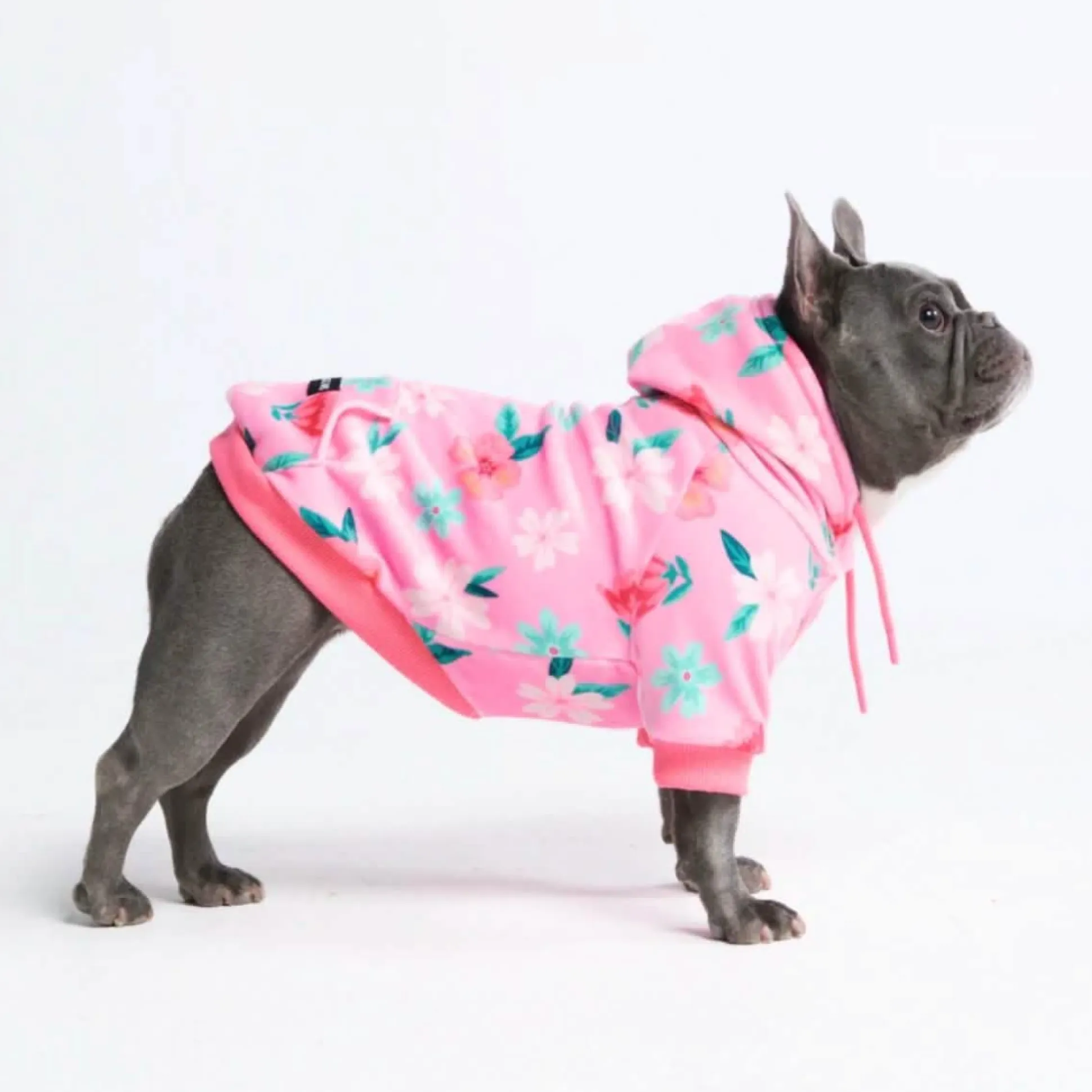 Blossom Dog Hoodie - Pink
