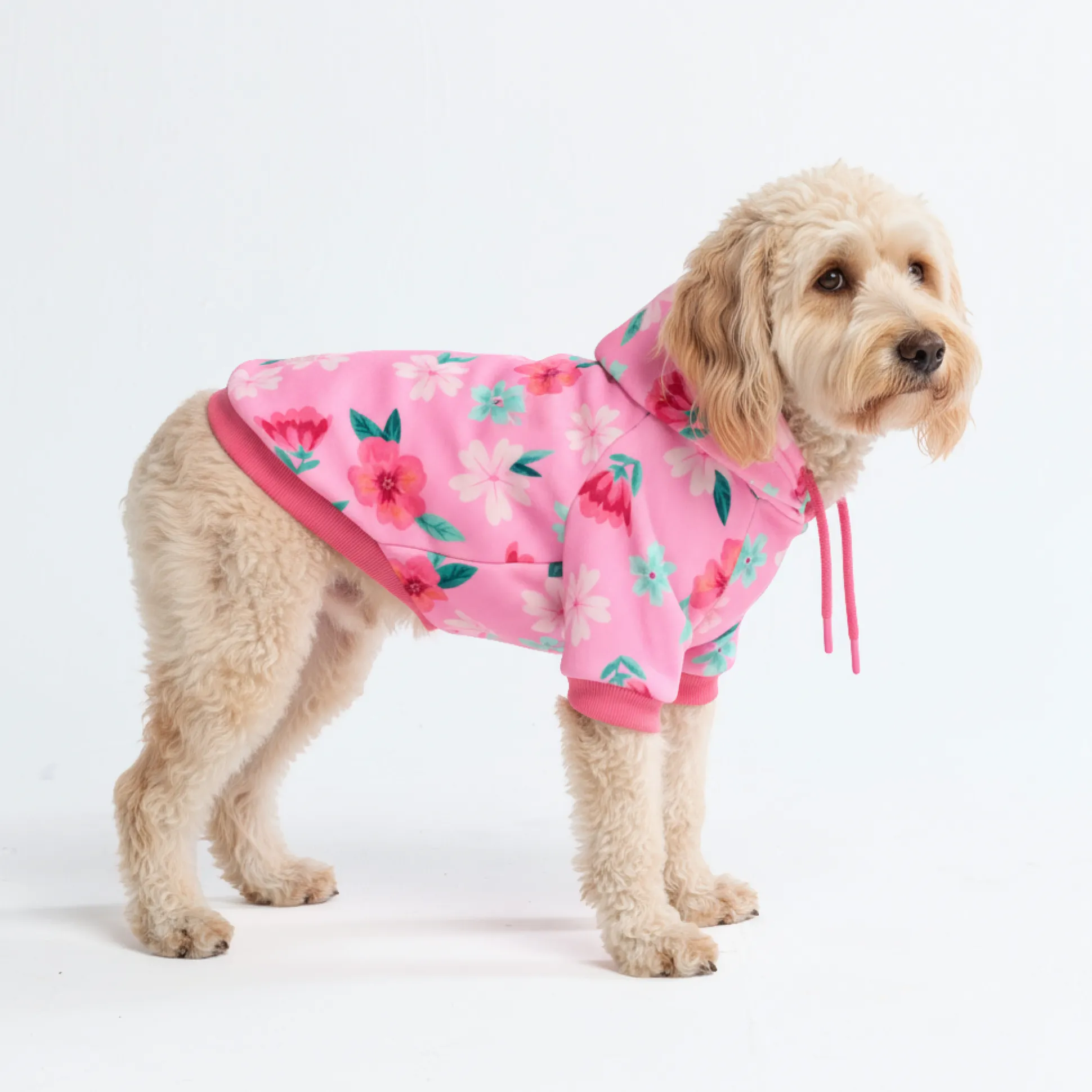 Blossom Dog Hoodie - Pink