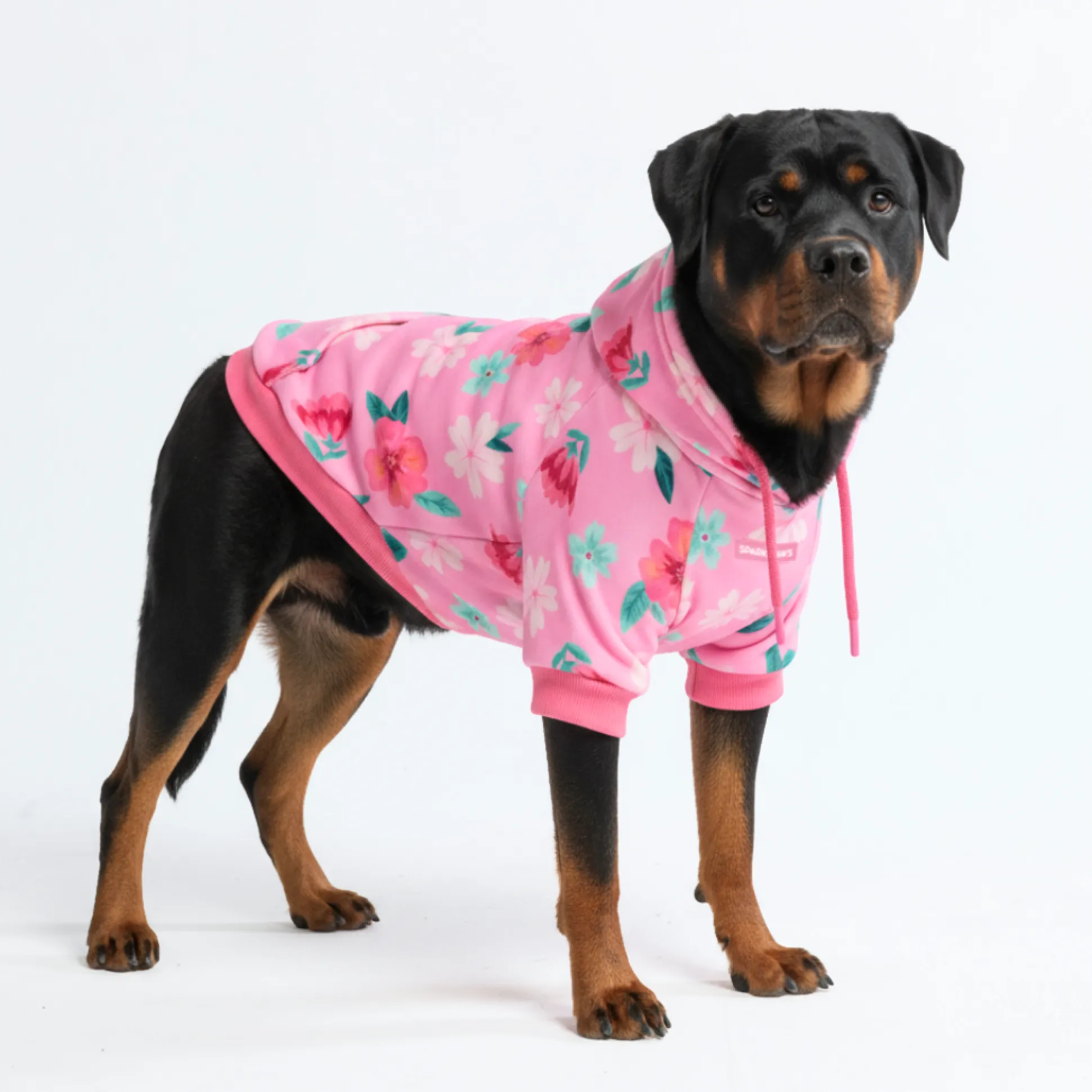 Blossom Dog Hoodie - Pink