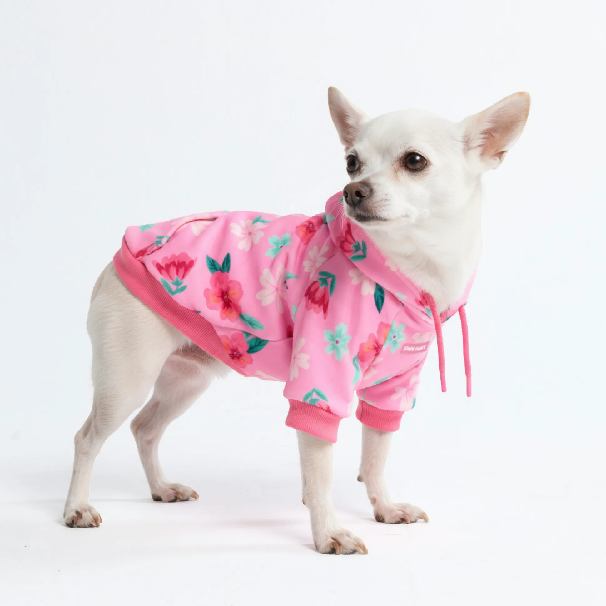 Blossom Dog Hoodie - Pink