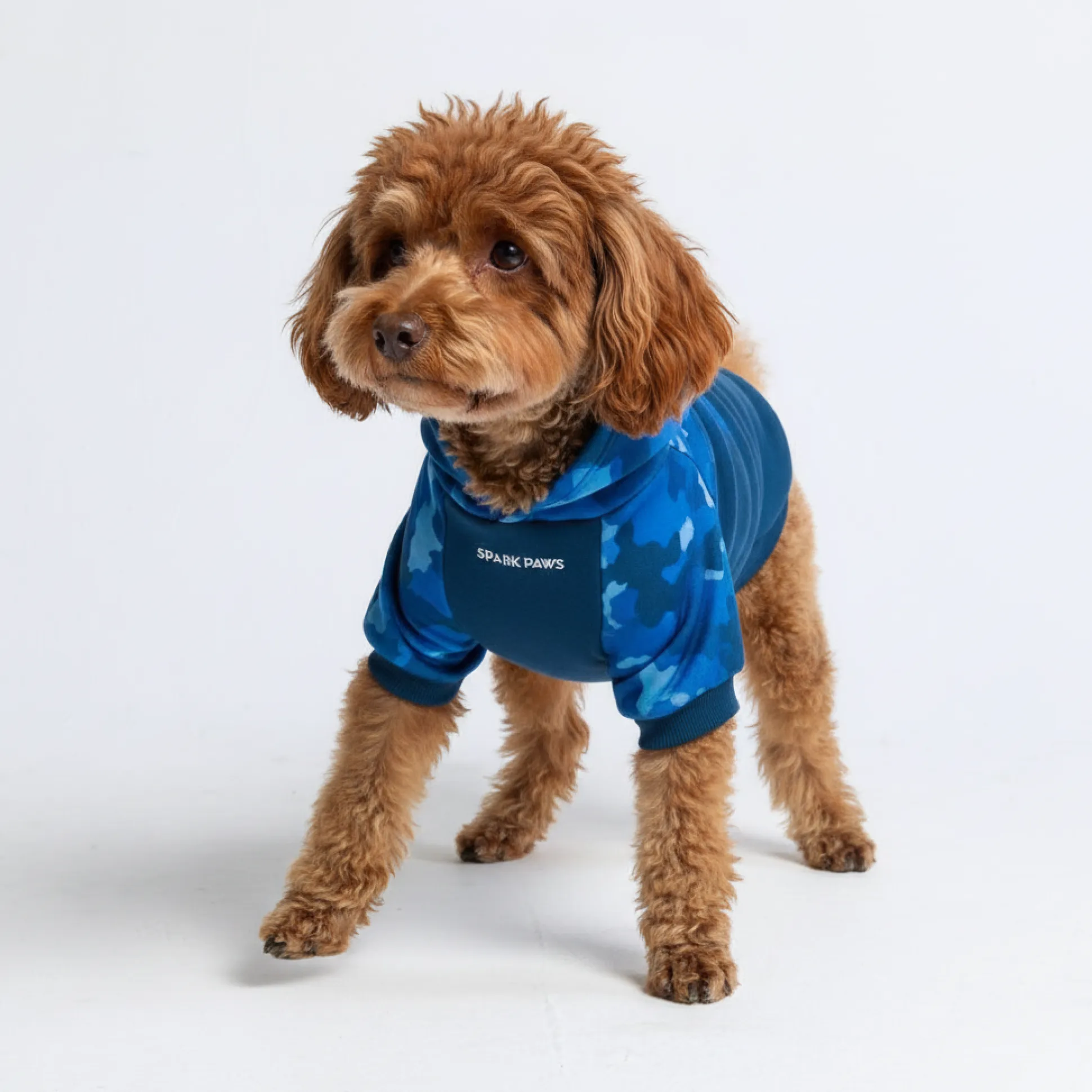 Blue Camo Dog Hoodie