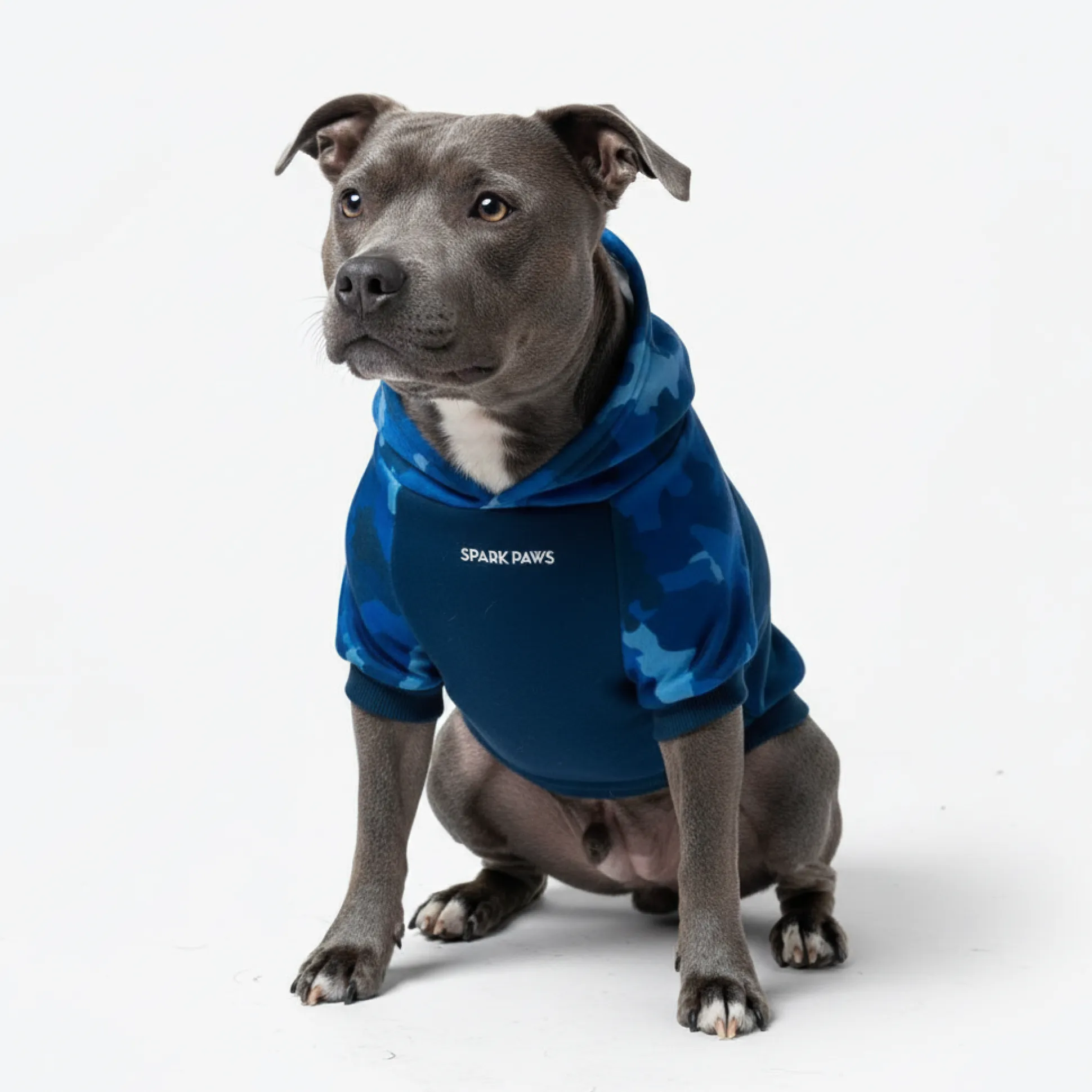 Blue Camo Dog Hoodie