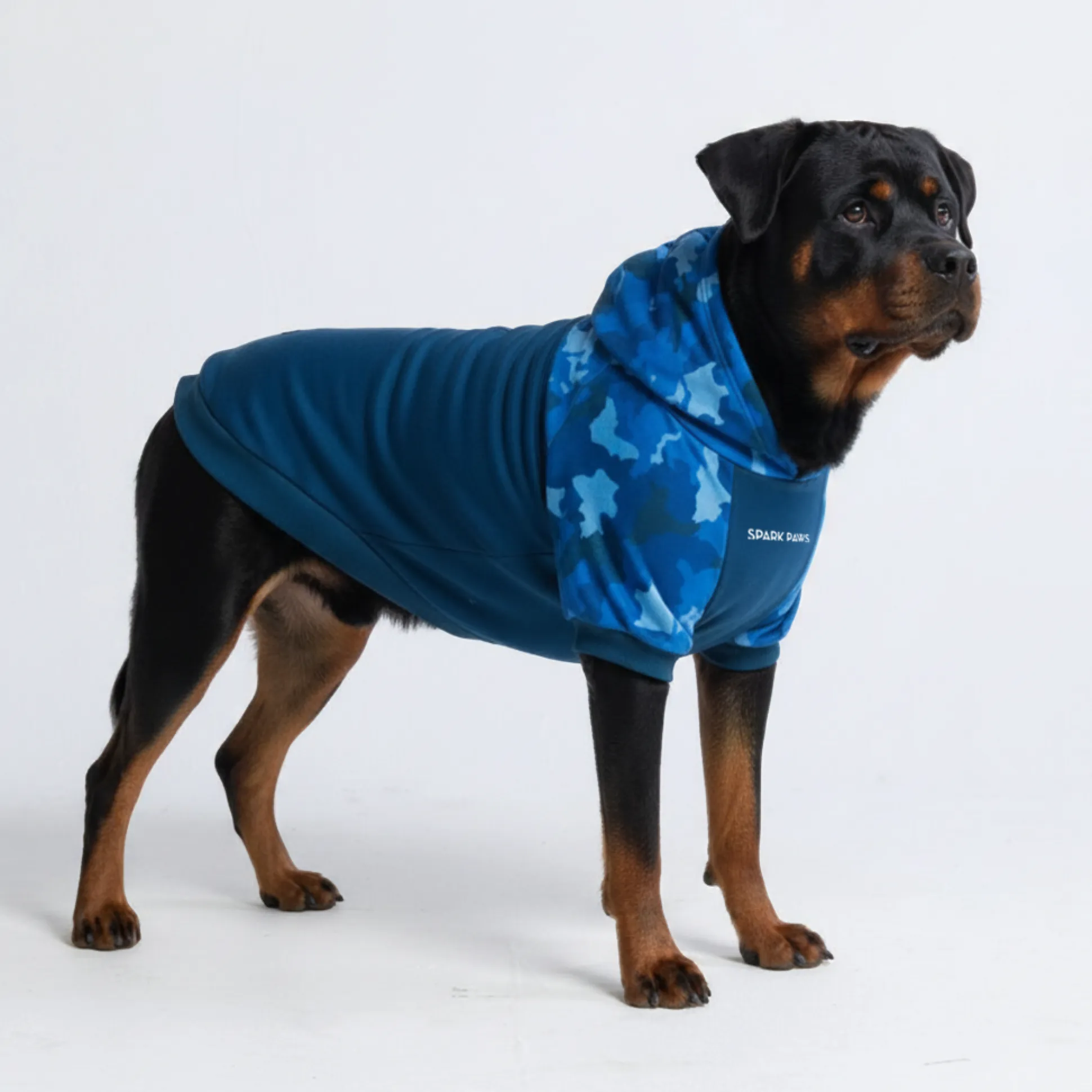 Blue Camo Dog Hoodie