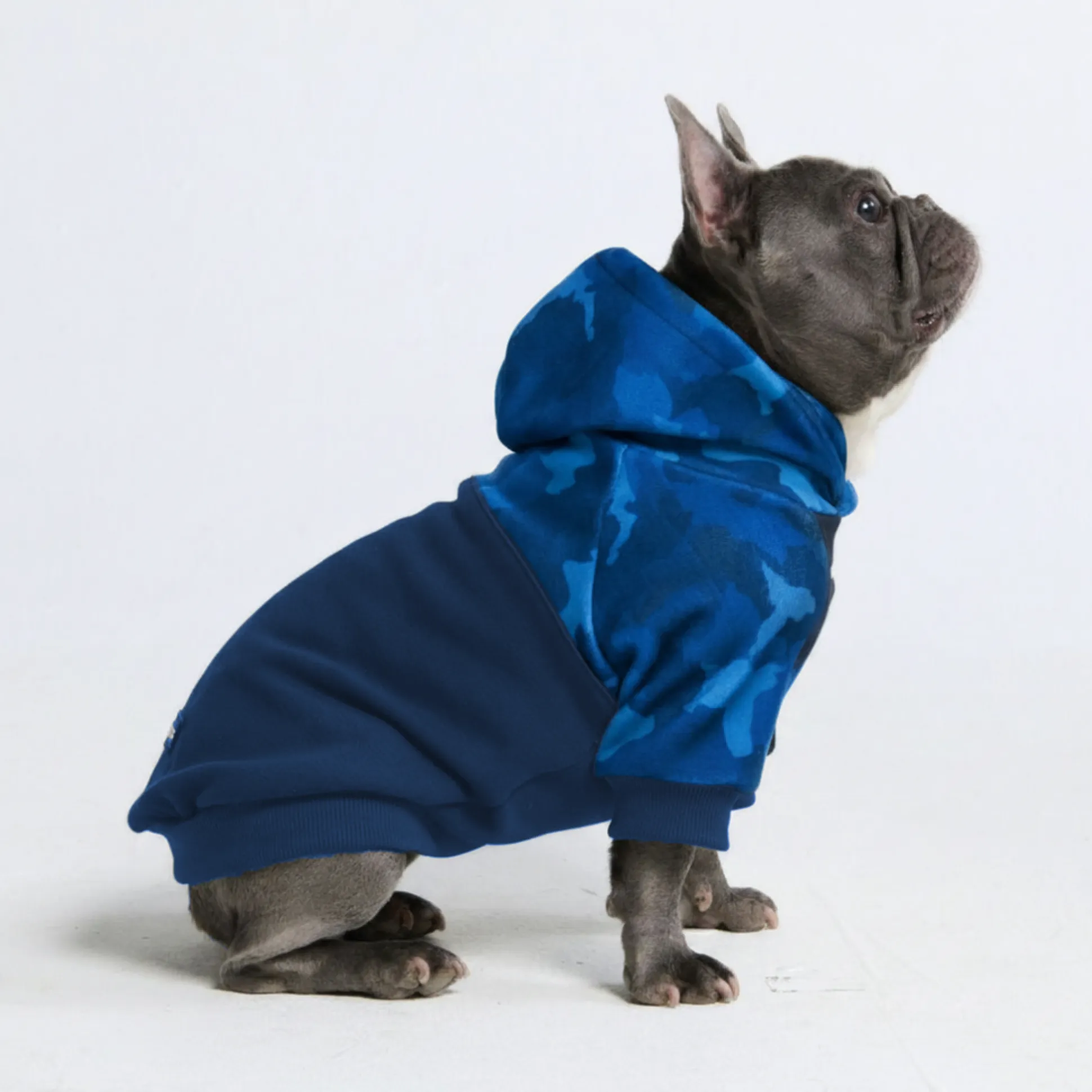Blue Camo Dog Hoodie