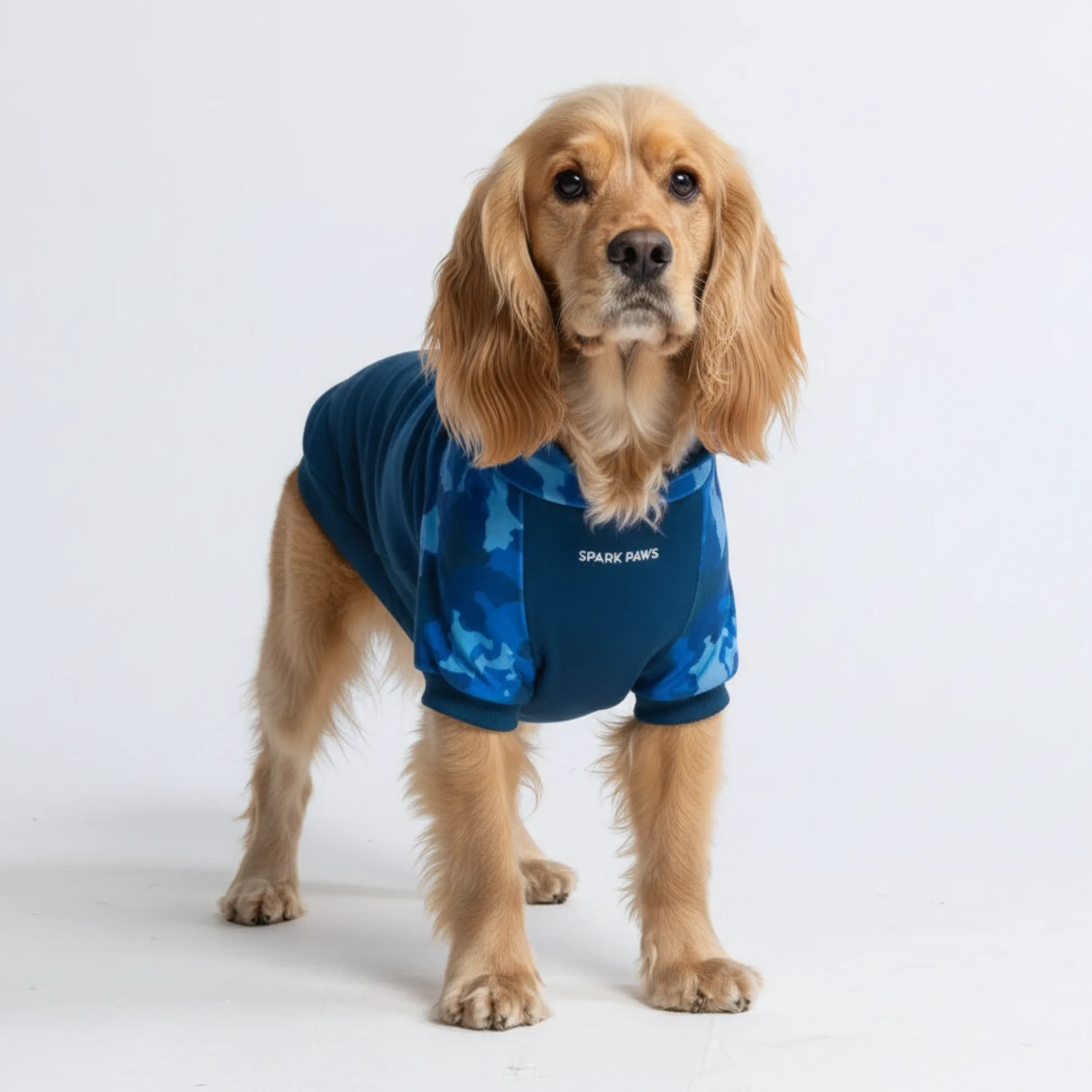 Blue Camo Dog Hoodie