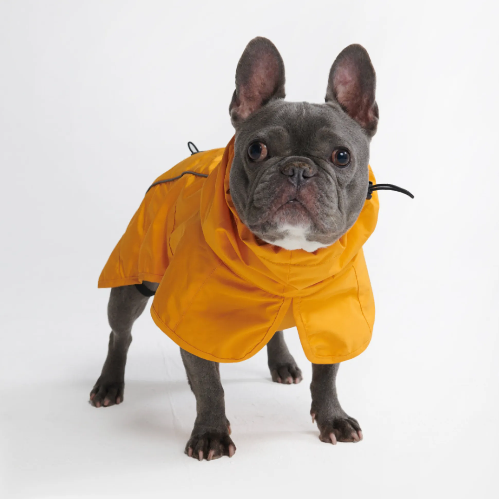 Breatheshield™ Dog Raincoat - Mustard Yellow