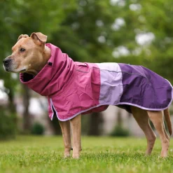Breatheshield™ Dog Raincoat - Pink Lilac Purple