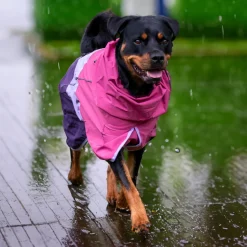 Breatheshield™ Dog Raincoat - Pink Lilac Purple