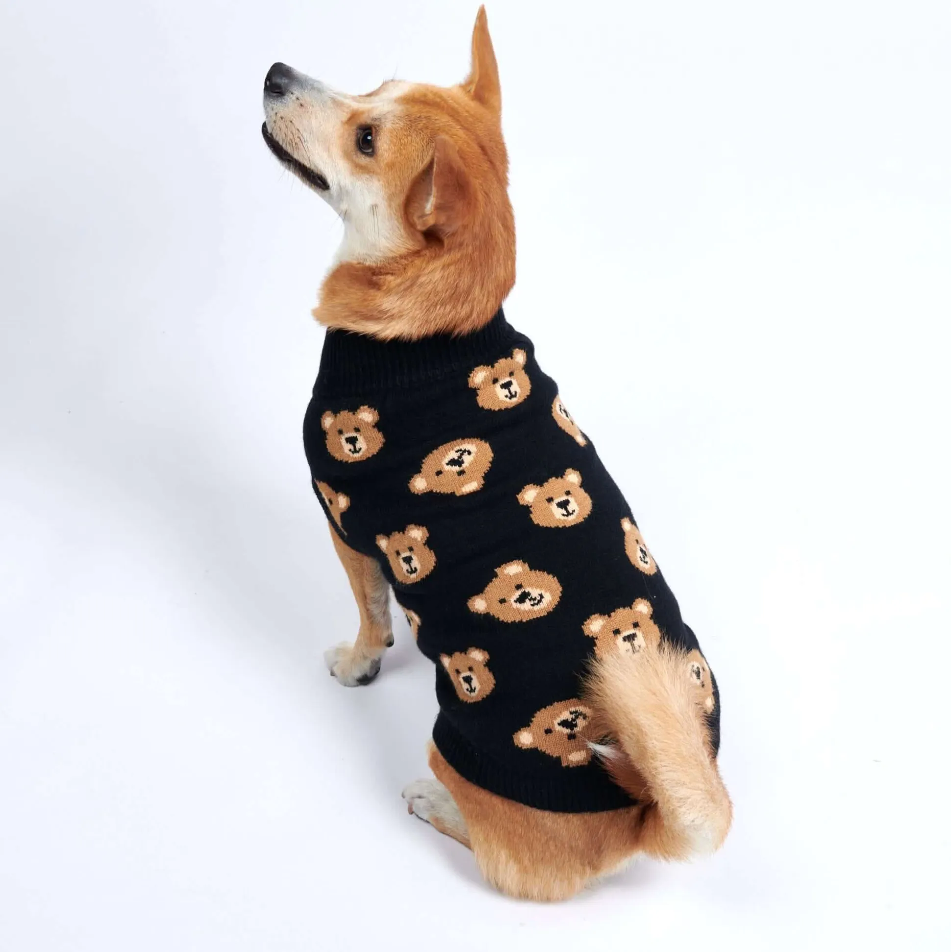 Broken Teddy Bear Knit Dog Sweater - Black
