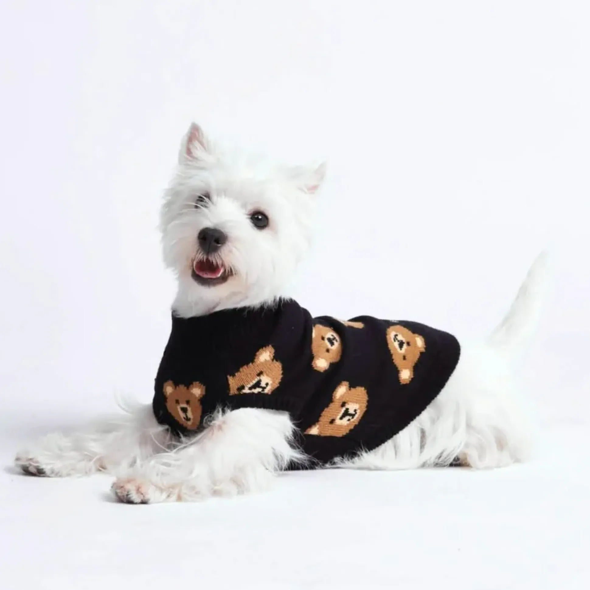 Broken Teddy Bear Knit Dog Sweater - Black