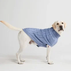 Cable Knit Dog Sweater - Blue