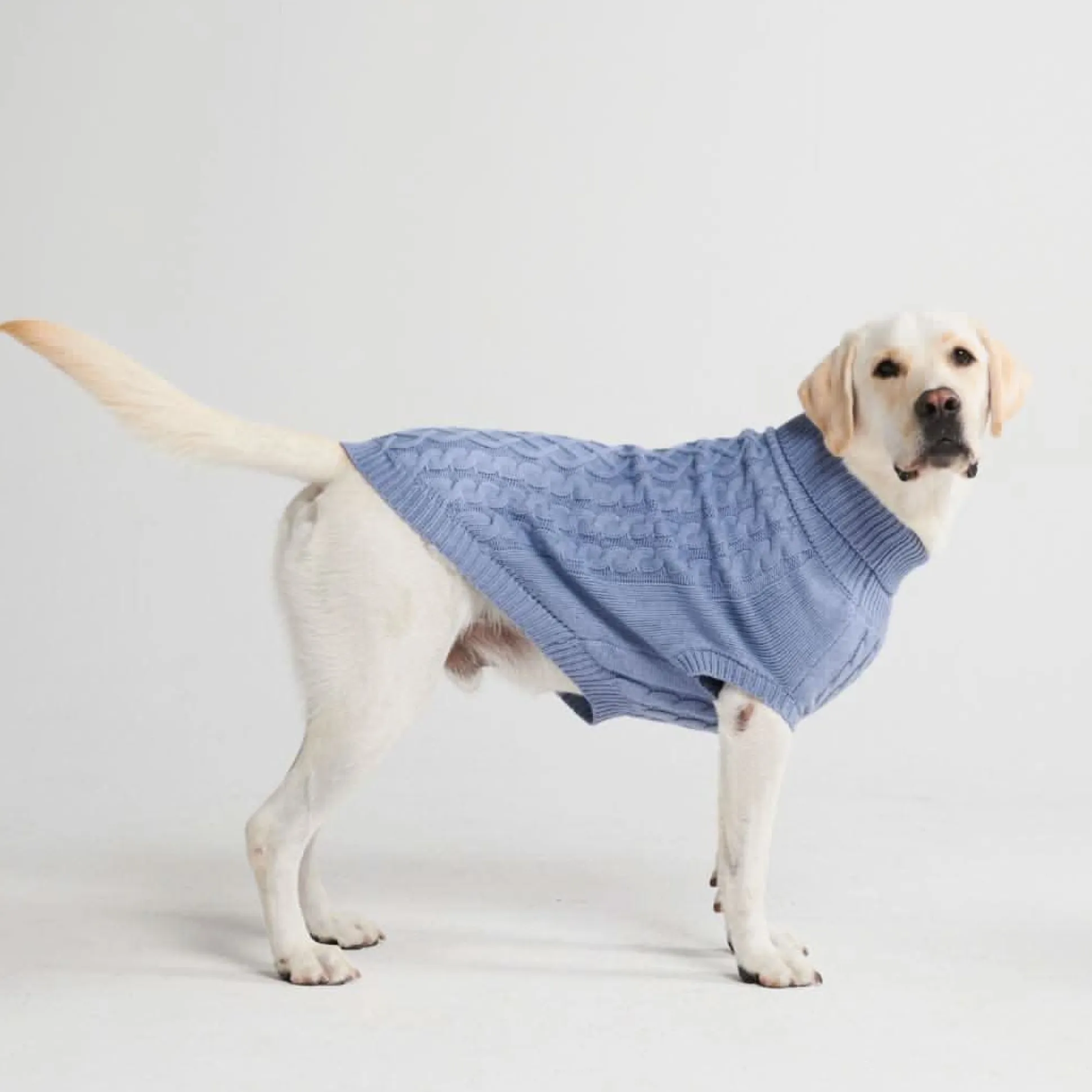 Cable Knit Dog Sweater - Blue