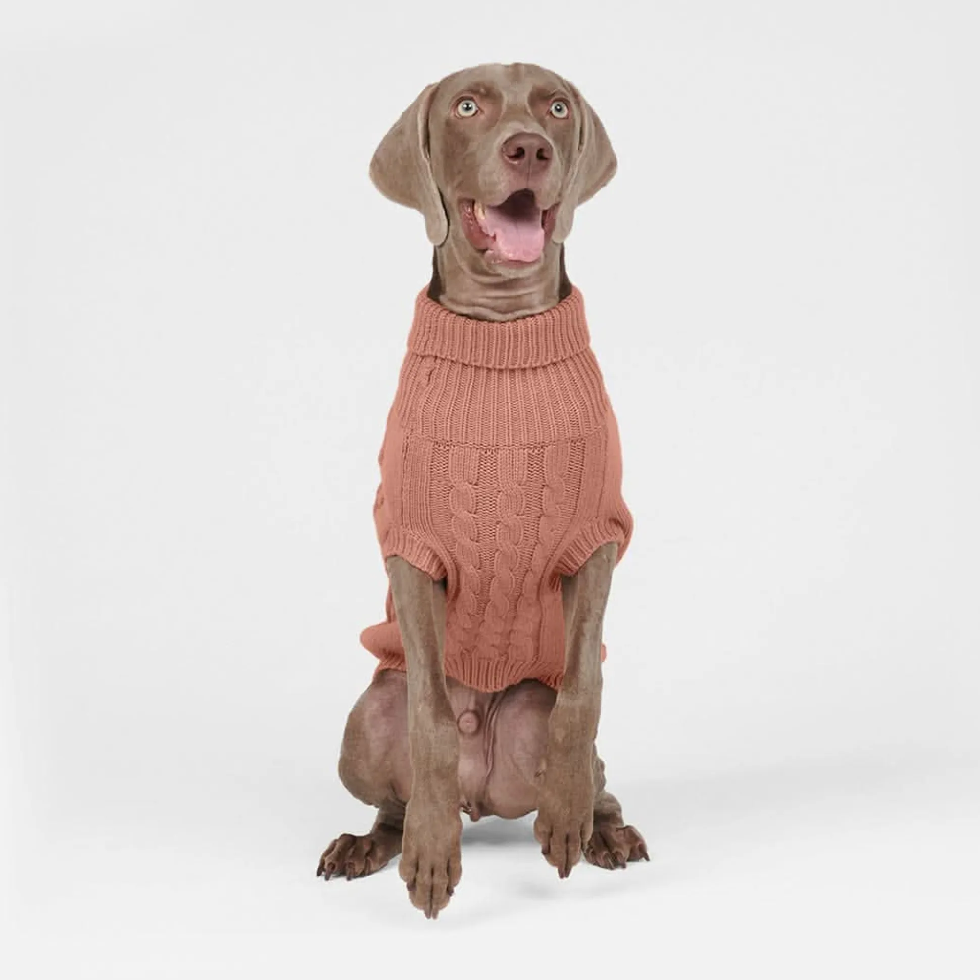 Cable Knit Dog Sweater - Brown