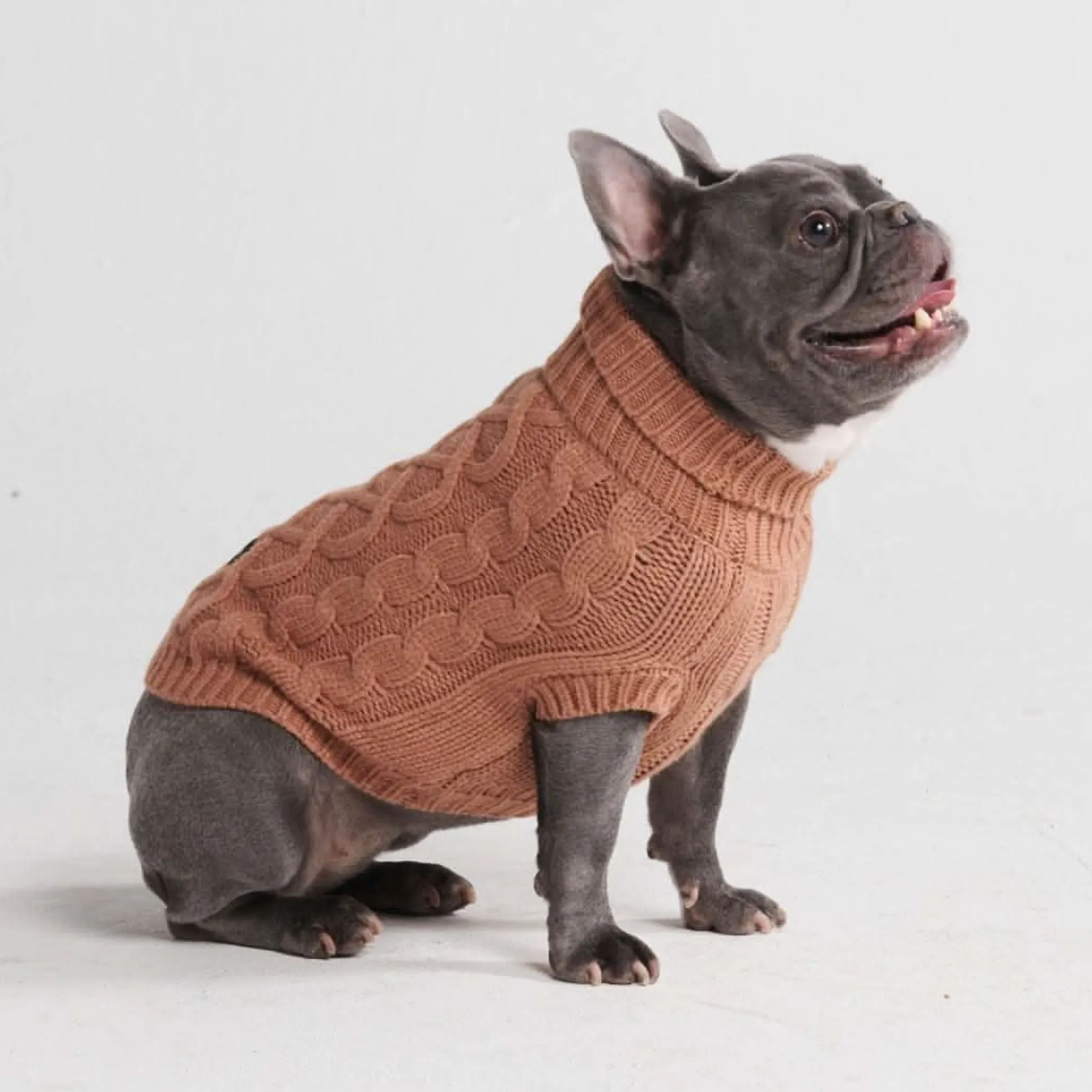 Cable Knit Dog Sweater - Brown