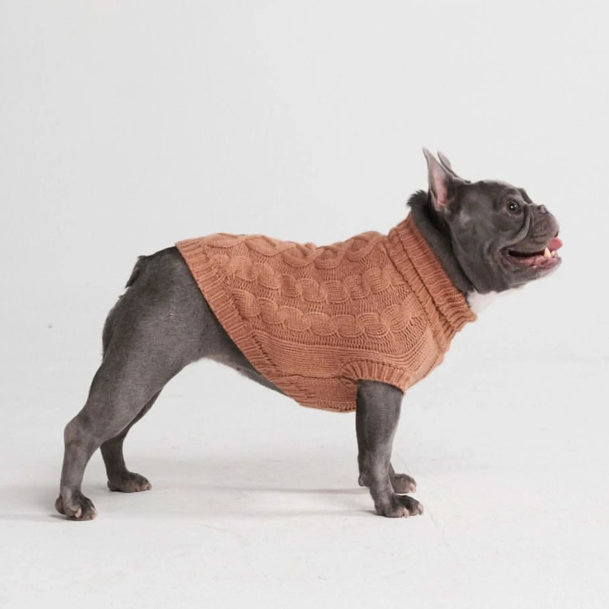 Cable Knit Dog Sweater - Brown
