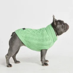 Cable Knit Dog Sweater - Mint Green