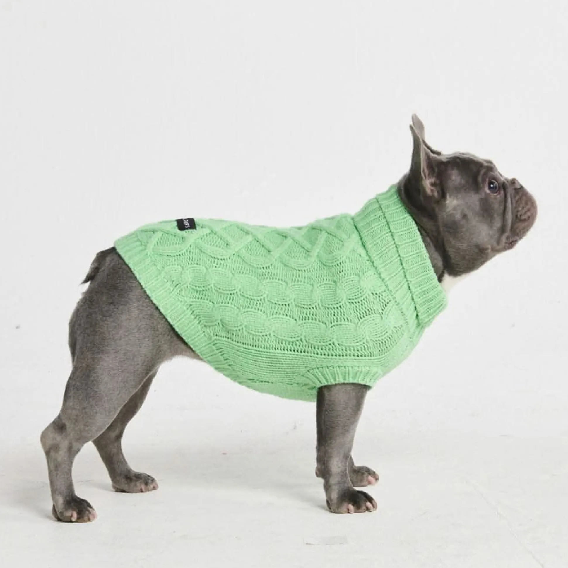 Cable Knit Dog Sweater - Mint Green