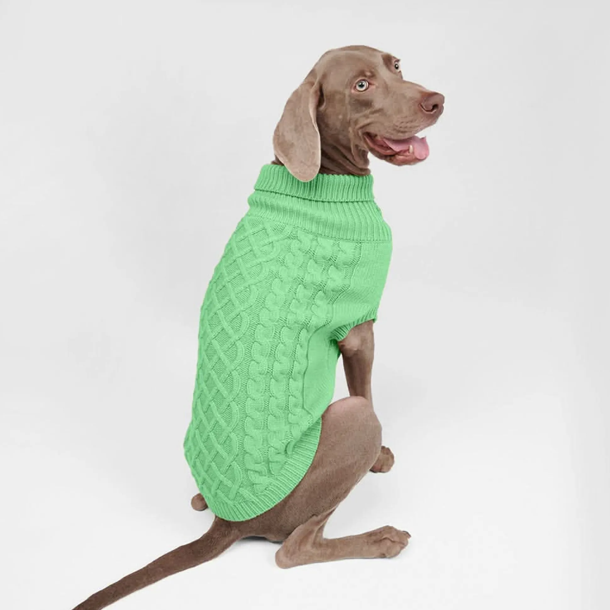 Cable Knit Dog Sweater - Mint Green