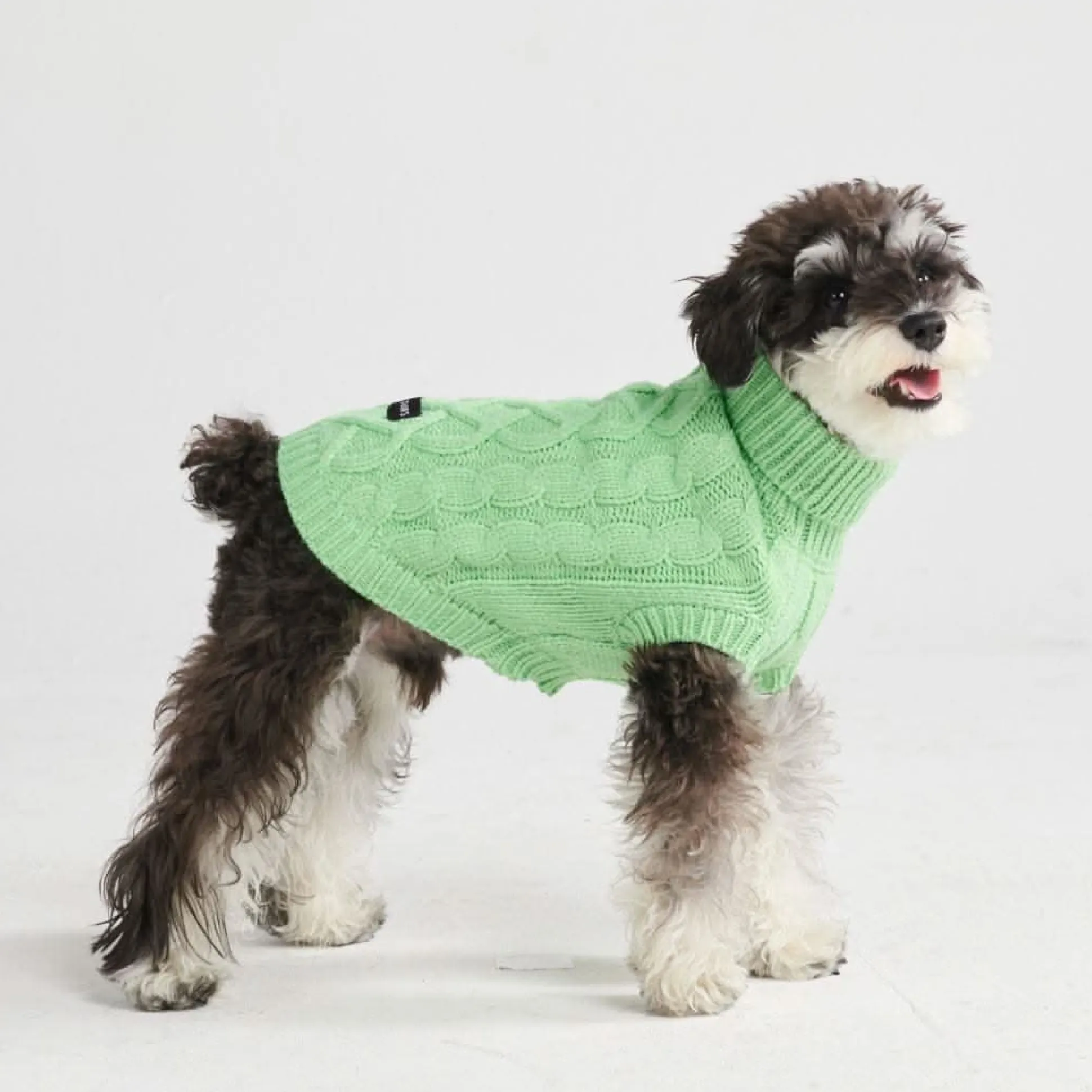 Cable Knit Dog Sweater - Mint Green