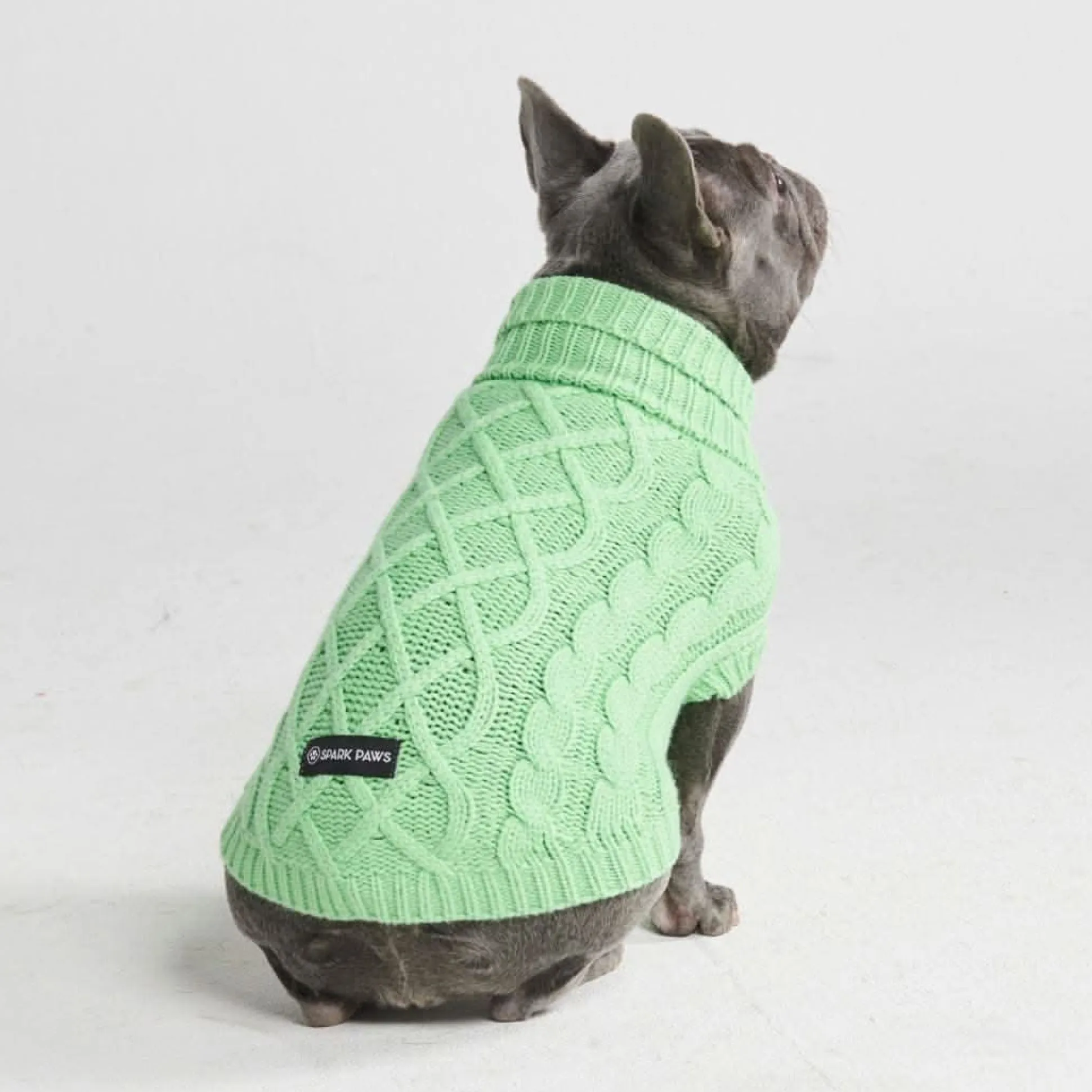 Cable Knit Dog Sweater - Mint Green