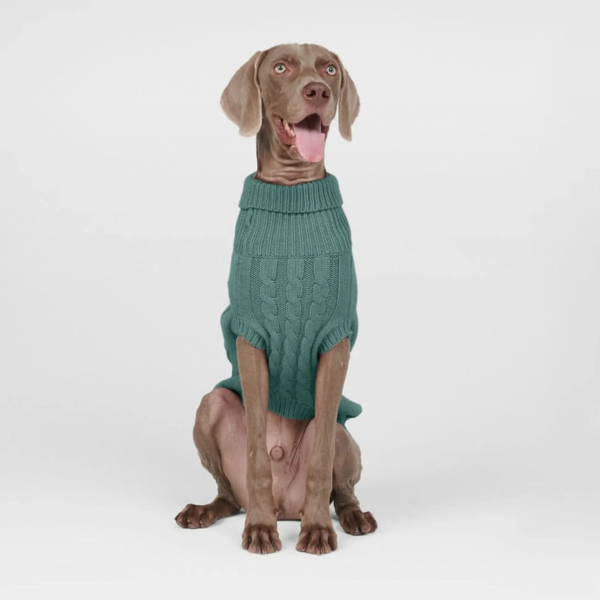 Cable Knit Dog Sweater - Pine Green