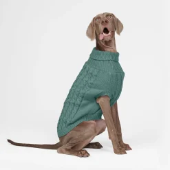 Cable Knit Dog Sweater - Pine Green