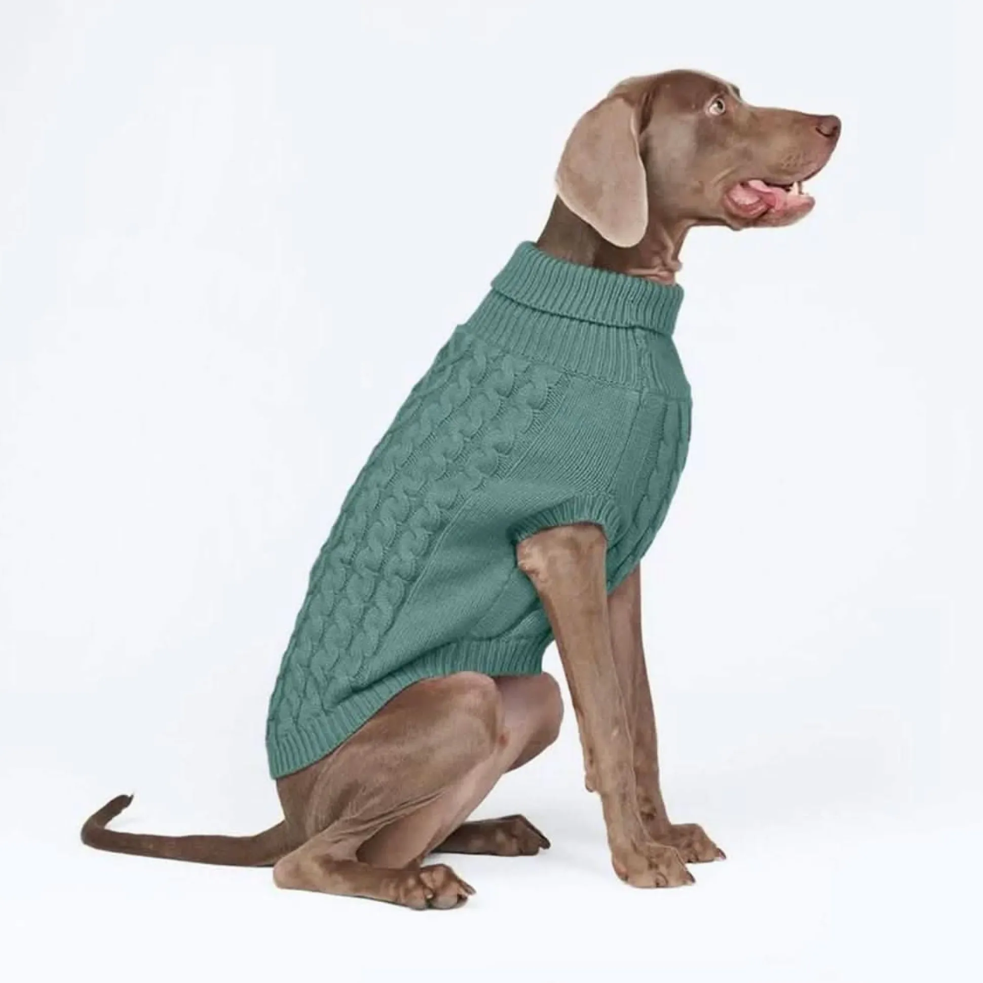 Cable Knit Dog Sweater - Pine Green