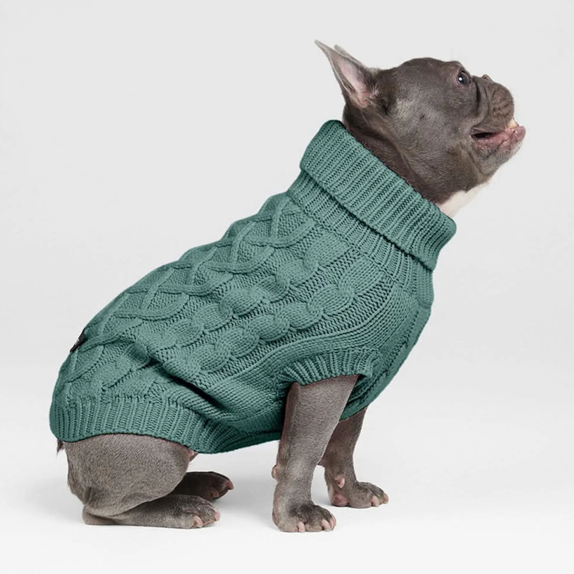Cable Knit Dog Sweater - Pine Green