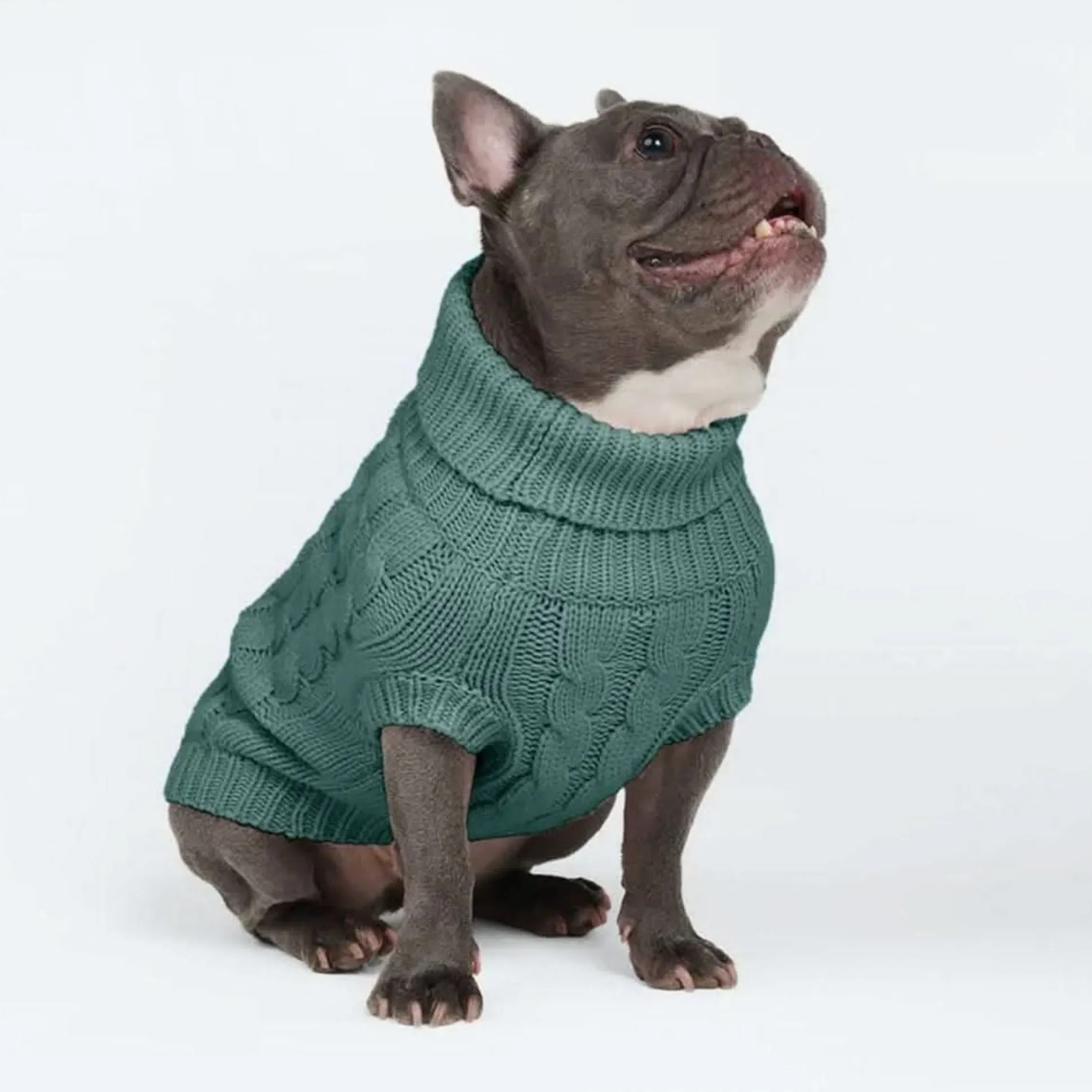 Cable Knit Dog Sweater - Pine Green