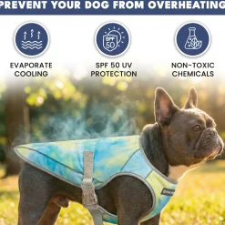 Chilltech™ Dog Cooling Vest 2 Pack