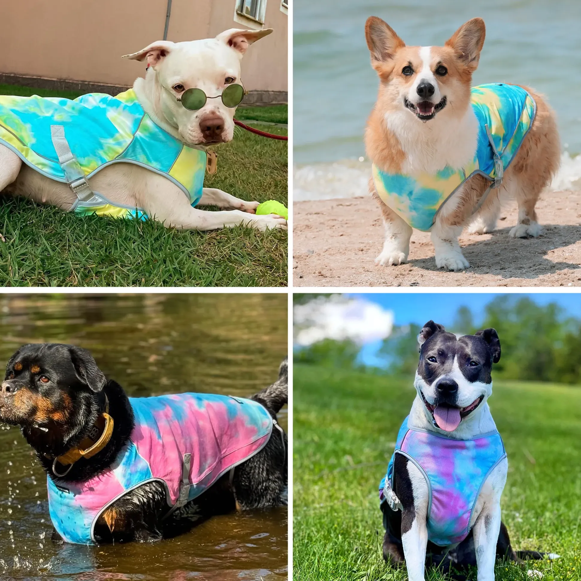 Chilltech™ Dog Cooling Vest 2 Pack