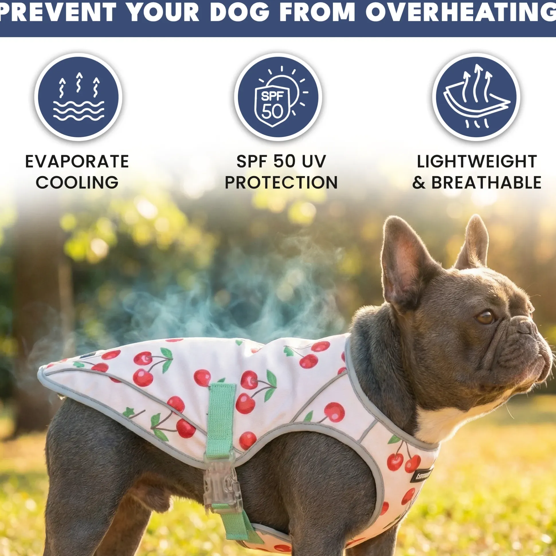 Chilltech™ Dog Cooling Vest 2 Pack