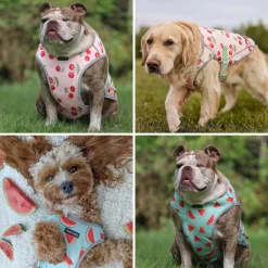 Chilltech™ Dog Cooling Vest 2 Pack