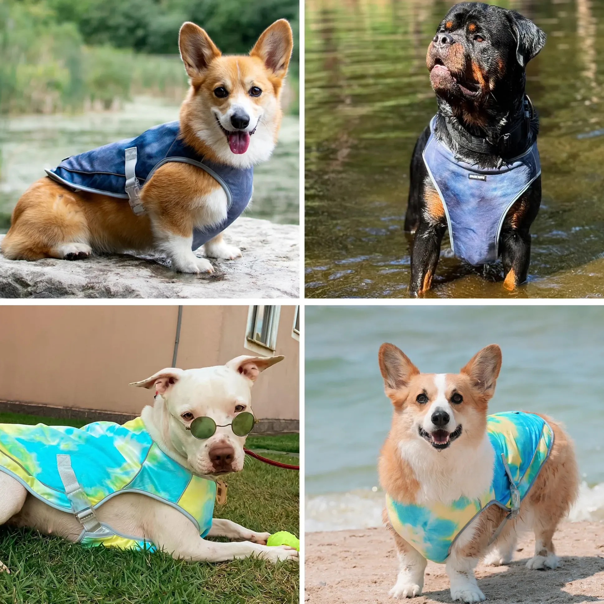 Chilltech™ Dog Cooling Vest 2 Pack