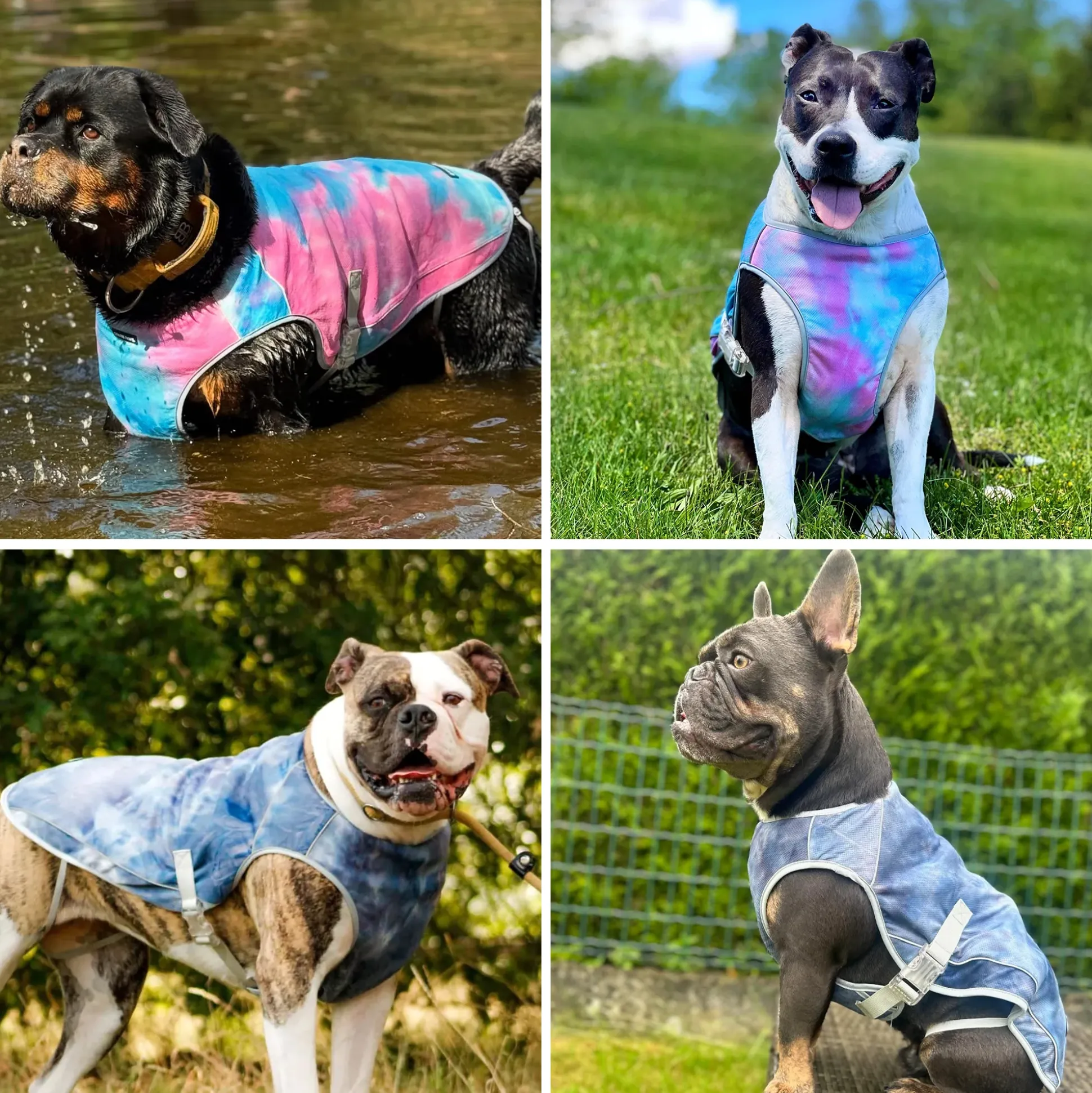 Chilltech™ Dog Cooling Vest 2 Pack