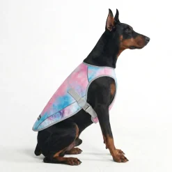 Chilltech™ Dog Cooling Vests